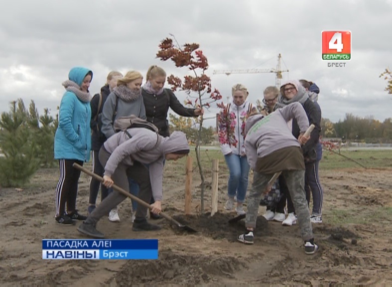 ПАСАДКА АЛЕІ (Відэа)